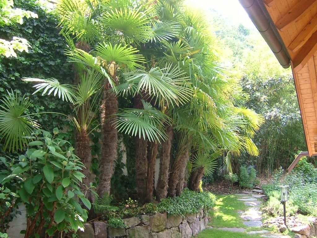 Villa Sissi 拉伊韦斯 外观 照片